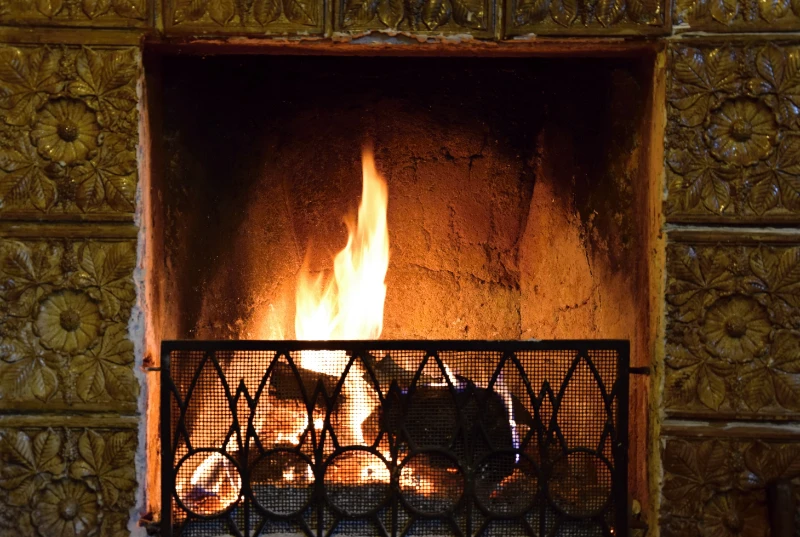 How often to clean chimney in South Carolina — wood burning fireplace