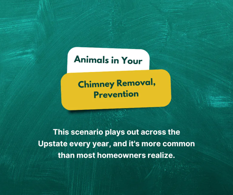 This scenario plays out across the Upstate every year, and it's more common than most homeowners realize.